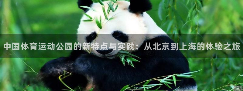中欧新趋势基金净值166001