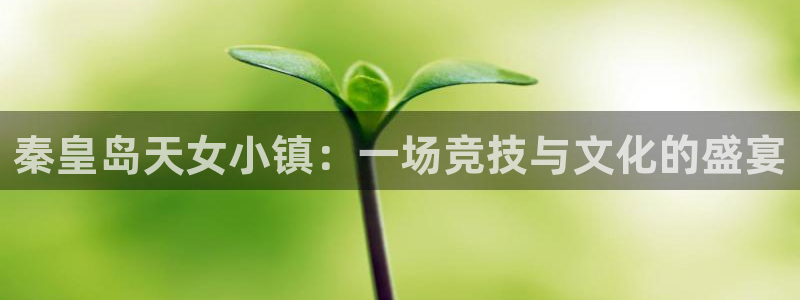 中欧医疗健康混合a历史档案：秦皇岛天女小镇：一场竞技与文化的盛宴