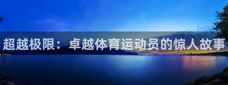 中欧磐固债券C：超越极限：卓越体育运动员的惊人故事