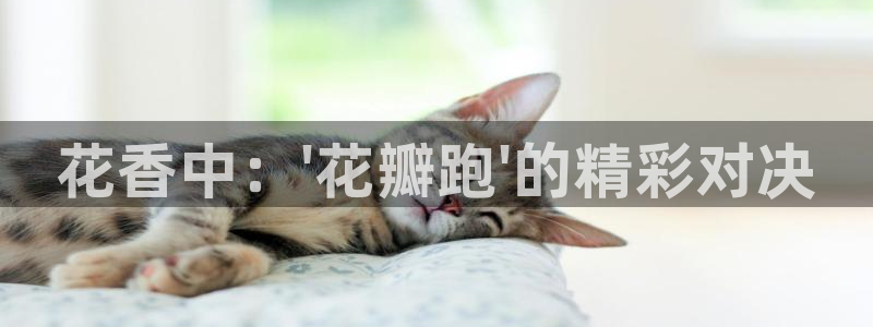 中欧基金：花香中：\'花瓣跑\'的精彩对决