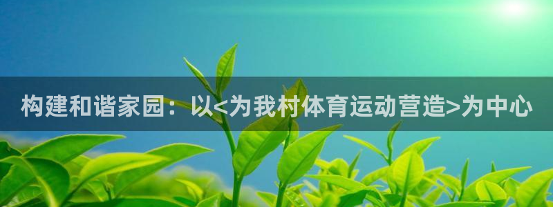 中欧农业产业混合c今日涨跌趋势：构建和谐家园：以<为我村体育运动营造>为中心